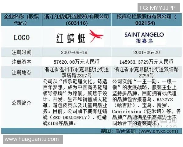 北京羽毛球队个人能力深度对比分析与未来发展趋势探讨 北京羽毛球队个人能力深度对比分析与未来发展趋势探讨