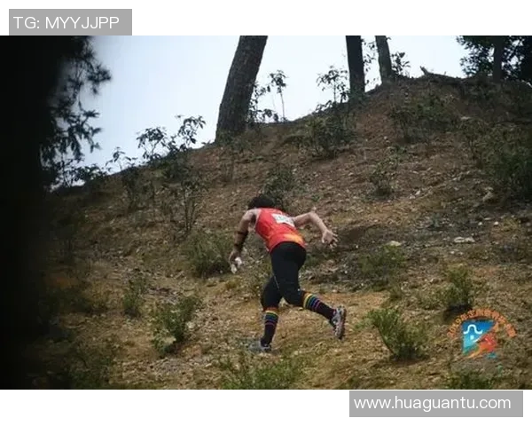 杨娜专访：从乒乓球新星到世界冠军的奋斗与成长历程回顾