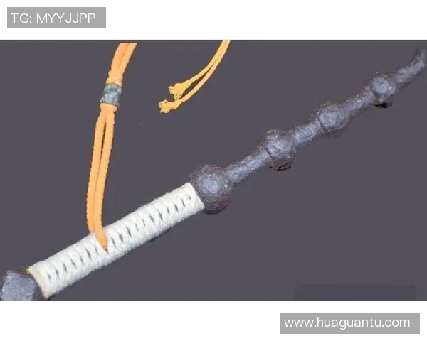 深度分析上海飞盘队中路突破战术的独特魅力与实战应用