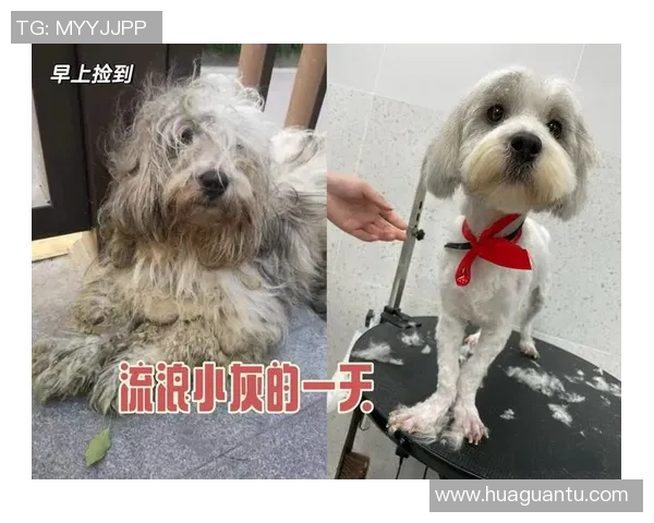 重庆滑板队的逆袭之旅:从街头到赛场的奋斗与荣耀 重庆滑板队的逆袭之旅:从街头到赛场的奋斗与荣耀